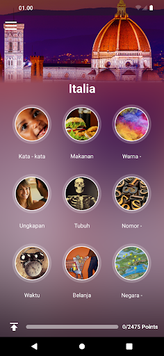 Pratinjau aplikasi