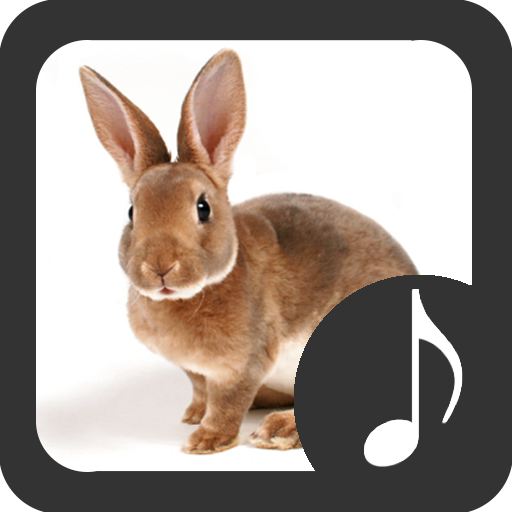 Rabbit Sounds