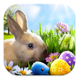 Easter Bunny Live Wallppers icon