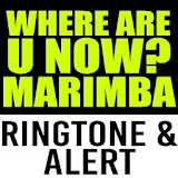 Where Are U Now Marimba Tone icon