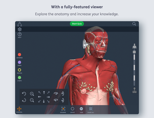 Primal’s 3D Human Anatomy Quiz