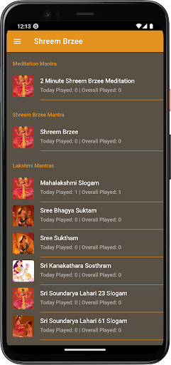 Android application Shreem Brzee screenshort