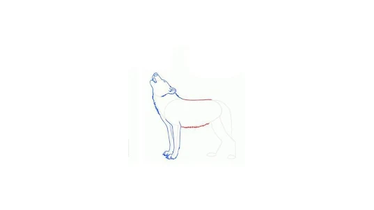 Как рисовать волков