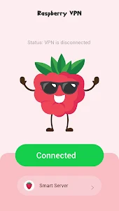 raspberry VPN
