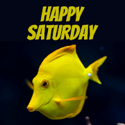 Top 28 Entertainment Apps Like Happy Saturday Images - Best Alternatives