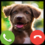 Cover Image of डाउनलोड Fake Call Puppy Game 1.0.2 APK