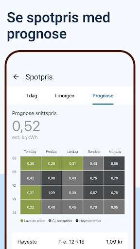 Voss Energi Screen 3
