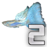 Grow the guppy 2 icon