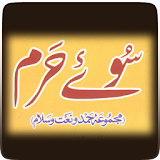 Hamd-o-Naat Collection In Urdu icon
