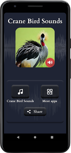 Crane Bird Sounds Screen 2
