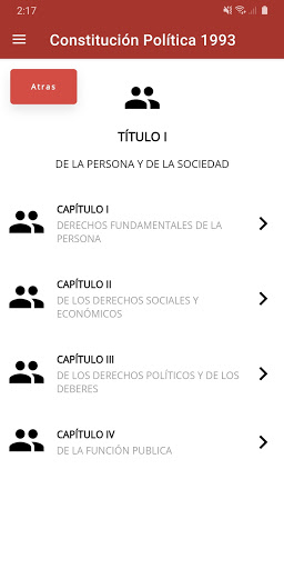 Constitución Política del Perú Screen 3