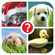  Guess the word ~ 4 Pics 1 Word 