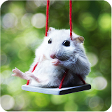 Hamster Puzzle Jigsaw for Kids icon