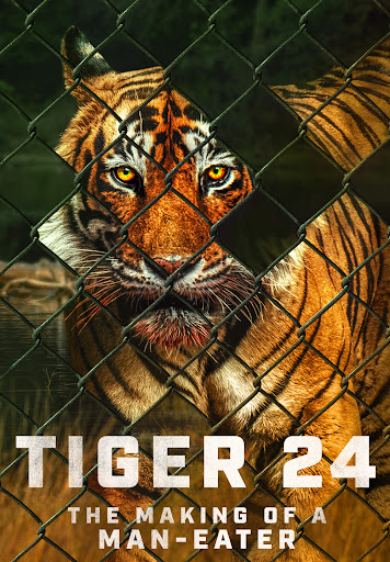 Tiger 24 Movies on Google Play