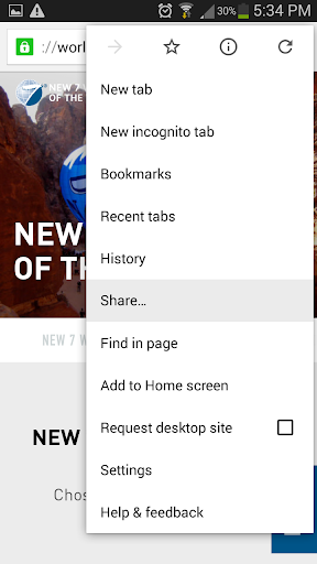 Bookmarks Lite Screen 2
