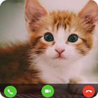 Cat Fake Video Call prank