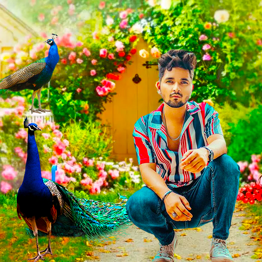Peacock Lyrical Photo Editor logo