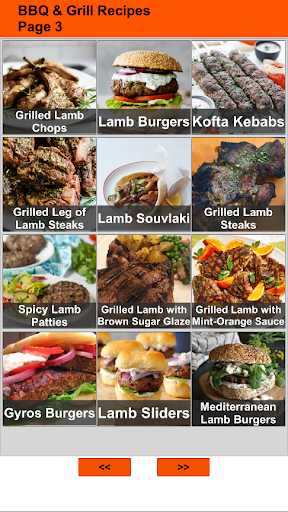150 Barbecue and Grill Recipes Screen 2