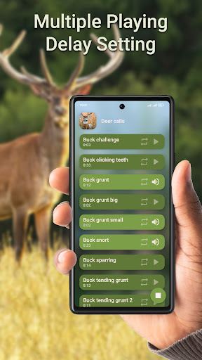 Buck grunt deals