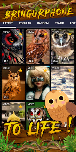 owl wallpaper Screen 2