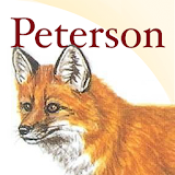 Peterson Mammals North America icon