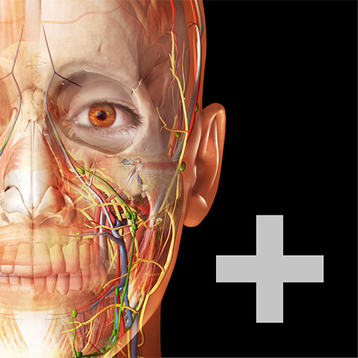 Human Anatomy Atlas 2023＋ – Apps On Google Play