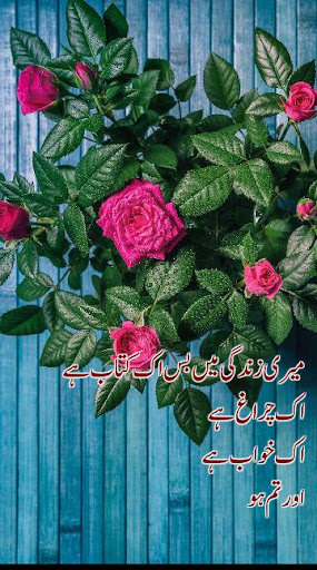 تطبيق Urdu On Picture - Urdu Status برو4