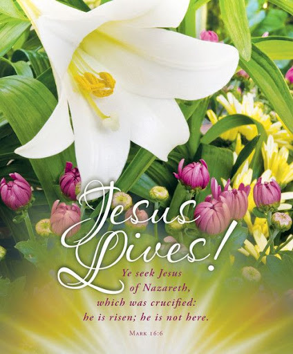 Android application Biblical greetings screenshort