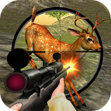 Simulator Fury Hunter Shoot icon