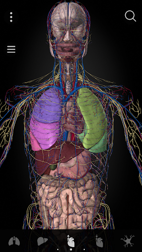 Anatomyka - 3D Anatomy Atlas Screen 3