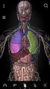 Anatomyka – 3D Anatomi Atlası MOD APK (Hepsi Kilitsiz) 3
