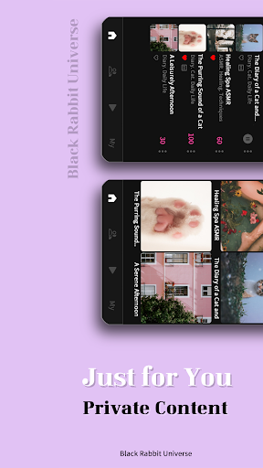 Black Rabbit Universe Screen 2