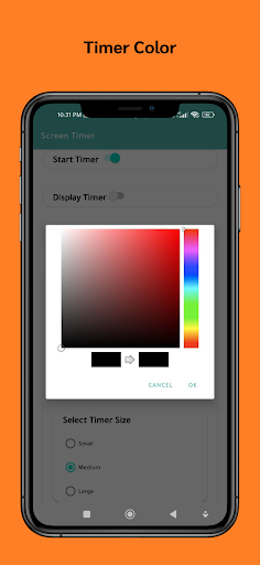 Screen Timer Screen 3