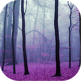 Magical Forest Live Wallpaper icon