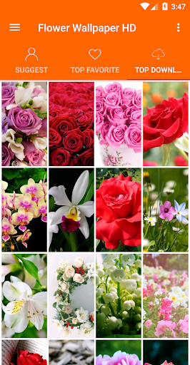 Flowers Wallpaper 4K Screen 3