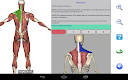 screenshot of Visual Anatomy Lite