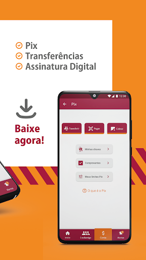Crediamigo Screen 2