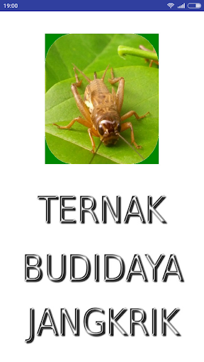 Android application Beternak dan Budidaya Jangkrik screenshort