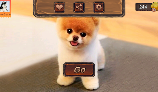 Pomeranian Dog Simulator 1.0.3 screenshots 9