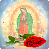Videos de la Rosa de guadalupe icon