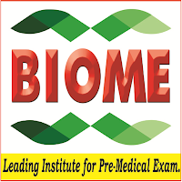 Biome Digital Classes