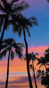 Hawaii các hình nền