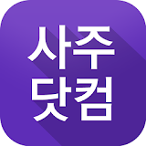 사주닷컴 [토정비결 2018 신년운세 사주 궁합 타로] icon