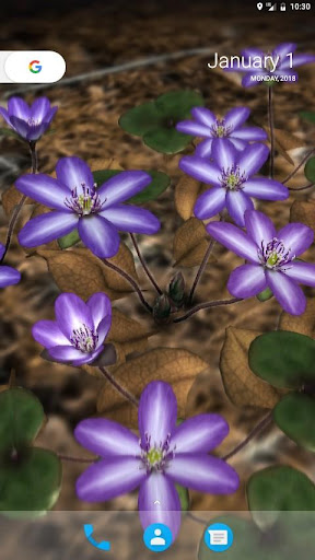 Android application Yukiwarisou 3D Live Wallpaper screenshort