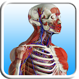 Anatomy Learning icon