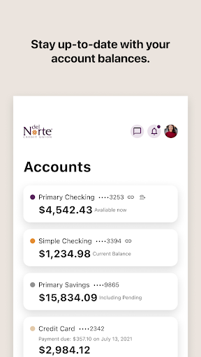 Del Norte Credit Union Screen 3