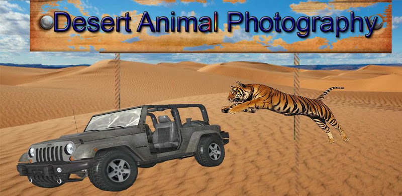 Desert Animal Fotograafia