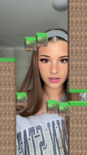 Mancraft Crazy Sheep Screen 2