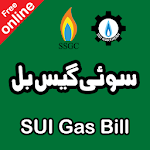 Cover Image of Download SUI Gas Bill Checker 1.7 APK