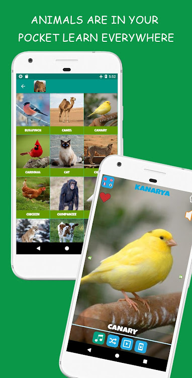Animal Sounds - 4.1 - (Android)